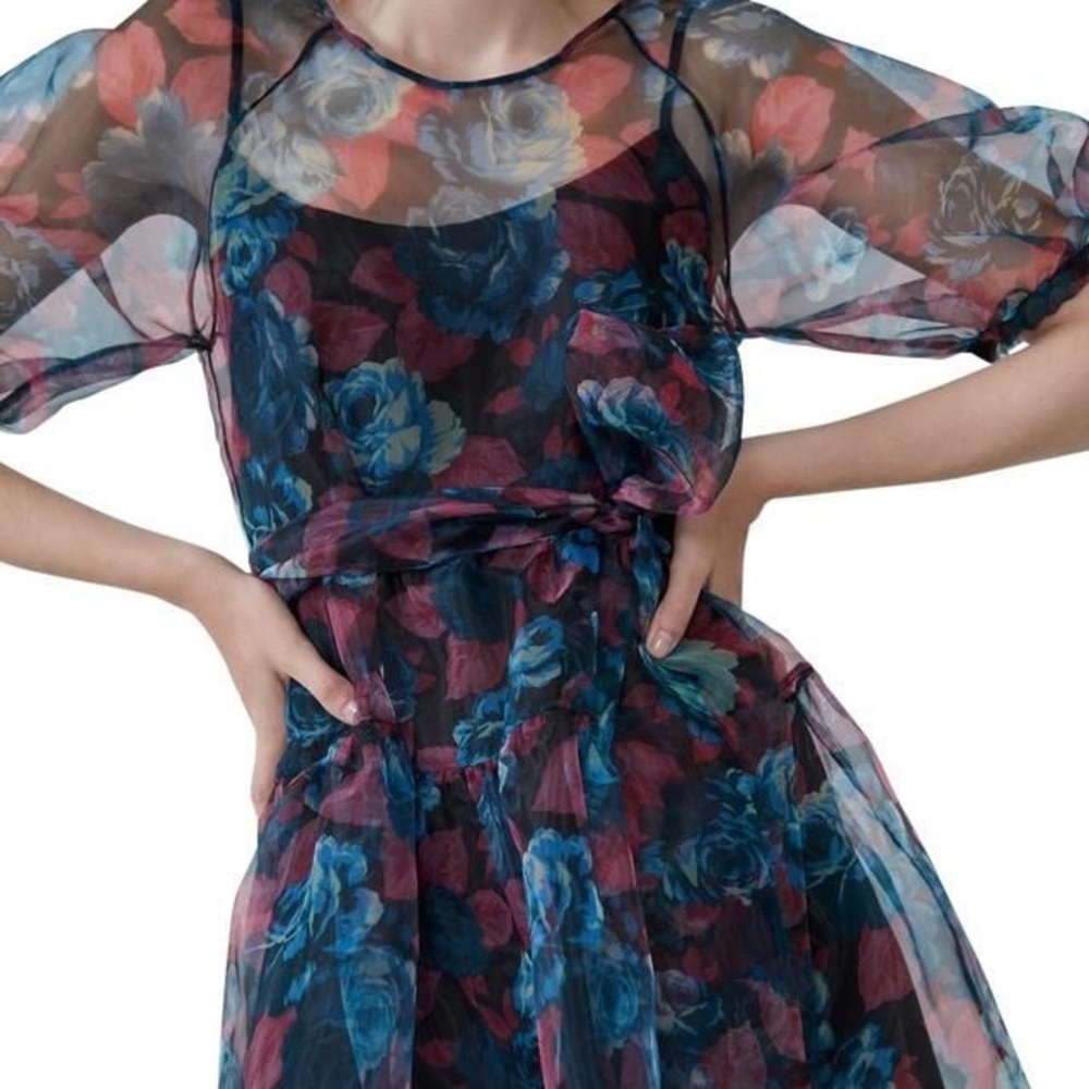 Zara Voluminous Organza Dress Size S